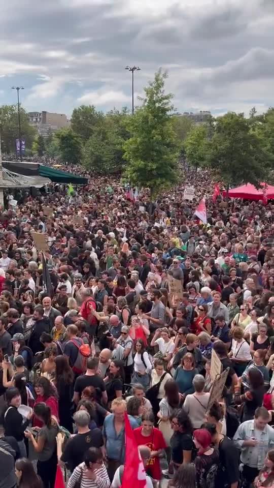 Protest in Paris against Emmanuel Macron at the Bastille